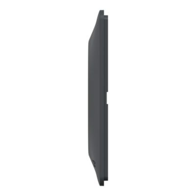 Plaque de finition 3 postes Schneider Electric Ovalis S340706E coloris anthracite avec liseré laiton l.229 x P.10 x H.87 mm