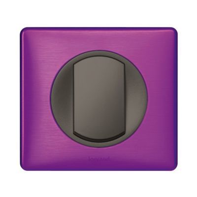 Plaque De Finition Simple Legrand En Inox - Pour Installation électrique, Occasion à Nettoyer