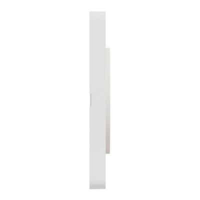 Plaque de finition simple Schneider Electric Odace Touch bois nordique liseré blanc