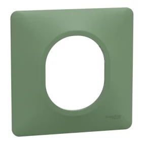 Plaque de finition simple Schneider Electric Ovalis vert forêt