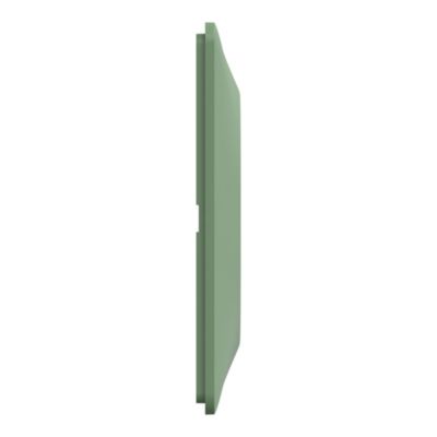 Plaque de finition simple Schneider Electric Ovalis vert forêt