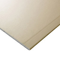 Plaque de plâtre Dryplac BA13 250 x 120 cm (vendue à la palette)