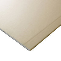 Plaque de plâtre Placo Batiplac 13 250 x 60 cm (vendue à la plaque)