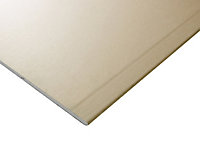Plaque de plâtre Placo Batiplac BA13 260 x 120 cm (vendue à la plaque)
