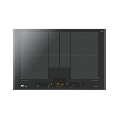 Plaque Induction Castorama