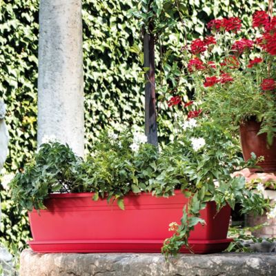 Plateau Day R plastique rouge 50 cm Deroma