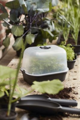 Plateau de culture Green basics S living noir