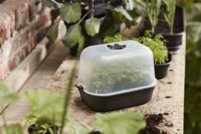 Plateau de culture Green basics S living noir