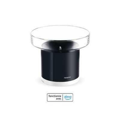 Pluviomètre Intelligent pour Station Météo Intelligente Netatmo