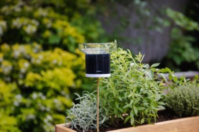 Pluviomètre Intelligent pour Station Météo Intelligente Netatmo