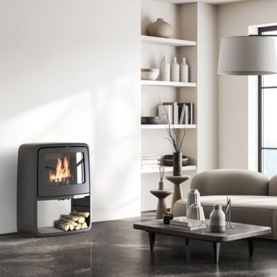 Poêle à bois en fonte Supra Paul bûcher 10kW 200m²