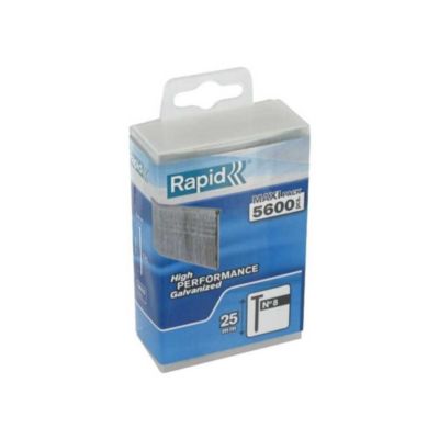 Pointes Rapid Agraf n8 25 mm galvanise boite 5600 pcs
