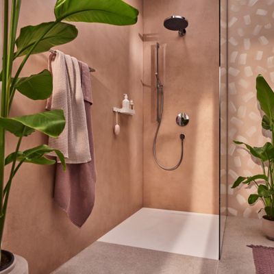 Pommeau de douche HANSGROHE Pulsify S 100 EcoSmart chromé
