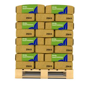 Pommes De Terre De Semence Bintje A 28/35 - 1000 Kg - Organifer