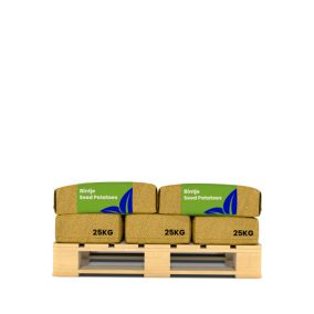 Pommes De Terre De Semence Bintje A 28/35 - 250 Kg - Organifer