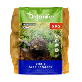 Pommes De Terre De Semence Bintje A 28/35 - 5 Kg - Organifer
