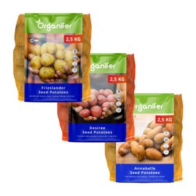 Pommes De Terre De Semence - Paquet - 3 Types - Organifer