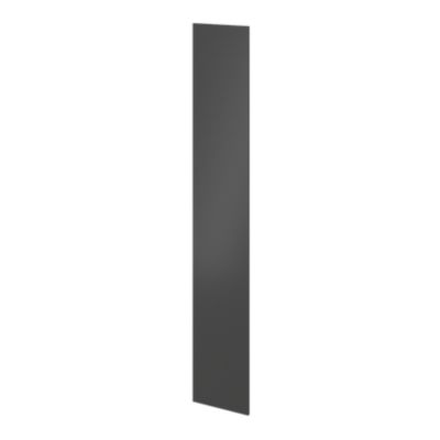 Porte battante anthracite GoodHome Atomia H. 224,7 x L. 37,2 cm