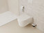 Porte-brosse WC mural blanc mat Hansgrohe
