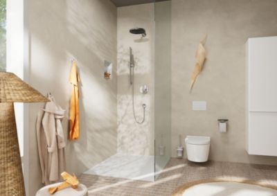 Porte-brosse WC mural chromé Hansgrohe