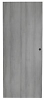 Porte coulissante Exmoor gris H.204 x l.73 cm