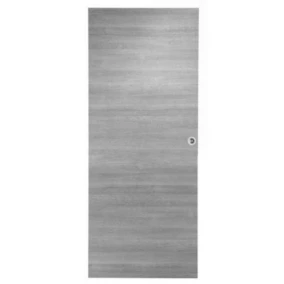 Porte coulissante Summa gris clair H.204 x l.73 cm