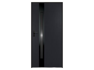 Porte d'entrée en acier pleine et inox H207 x L100 cm - verre fumé - anthracite et noir - épaisseur 55 mm - poussant droit - BRAGA