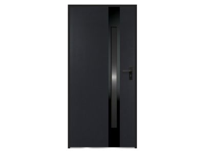 Porte d'entrée en acier pleine et inox H207 x L100 cm - verre fumé - anthracite et noir - épaisseur 55 mm - poussant gauche -