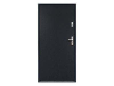 Porte d'entrée en acier pleine H207 x L100 cm anthracite - poussant gauche - AGUEDA