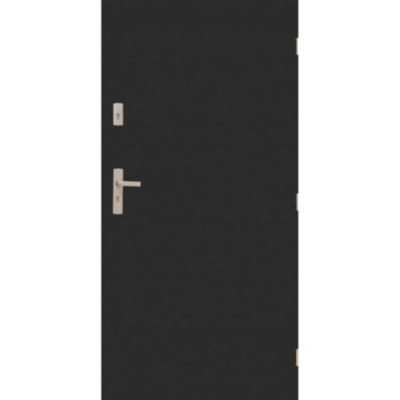 Porte d'entrée MARS 80 cm en acier inoxydable en 3 couleurs - Couleur: Anthracite - Sans Poignée et serrure - Poussant: Droit
