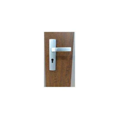 Porte d'entrée SATURNE 80 cm en acier inoxydable en 3 couleurs - Couleur: Chêne doré - Avec Poignée et serrure - Poussant: Droit