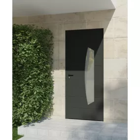 Porte d'entrée alu gris Tegan H.215 x l.90 cm poussant droit