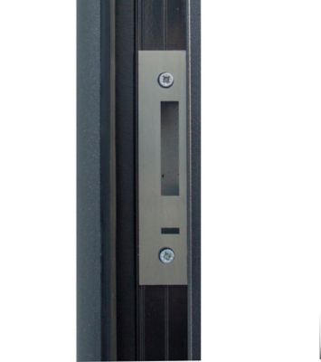 Porte d'entrée FORTIA acier gris RAL 7016 Ricadi 96 x h.218 cm poussant gauche