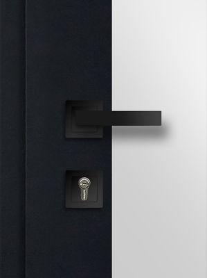 Porte d'entrée FORTIA acier Kribi 96 x h.218 cm poussant droit