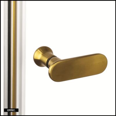Porte de Douche Italienne Double Battante - 100 x 195 - OR BROSSÉ - NEW SOLEO