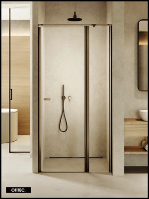 Porte de Douche Simple Pivotante - 80 x 195 - GUNMETAL - NEW SOLEO