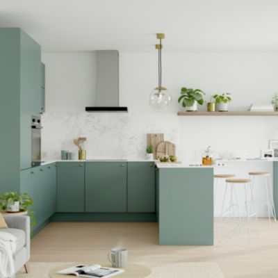 Porte de meuble de cuisine Stevia vert mat l. 60 cm x H. 72 cm GoodHome