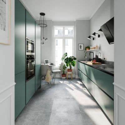 Porte de meuble de cuisine Stevia vert mat l. 60 cm x H. 72 cm GoodHome