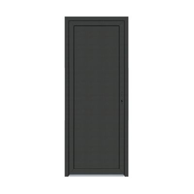 Porte de service pvc pleine gris anthracite est. et blanc int. 80 x h.205 cm poussant gauche