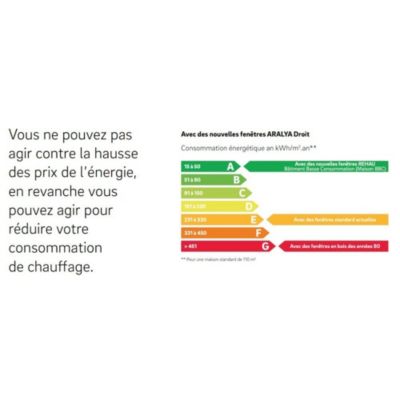 Porte fenêtre PVC blanc 2 vantaux hors tout H 218 x L 156 cm ouverture française pour pose en neuf