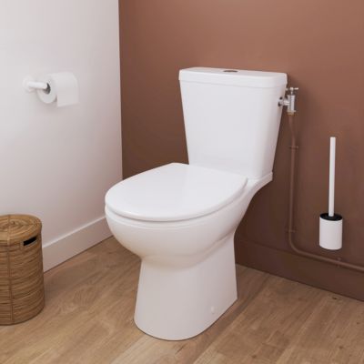 Porte-rouleau papier toilette mural en acier inoxydable blanc Cavally GoodHome
