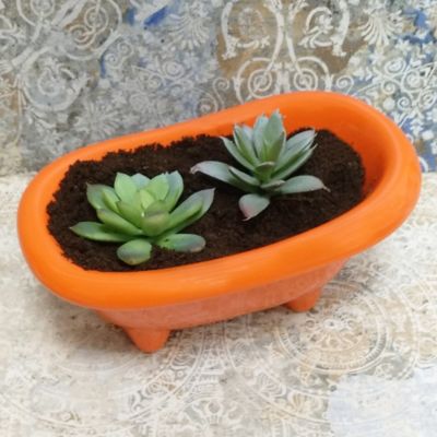 Porte-savon en céramique en forme de canard, porte-savon avec égouttoir