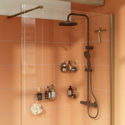Porte-serviettes double mural en acier inoxydable or l.60 cm Cavally GoodHome
