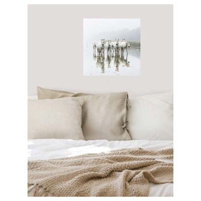 Poster intissé CHEVAUX DE CAMARGUE 40 x 40 cm - Décoration intérieure HD