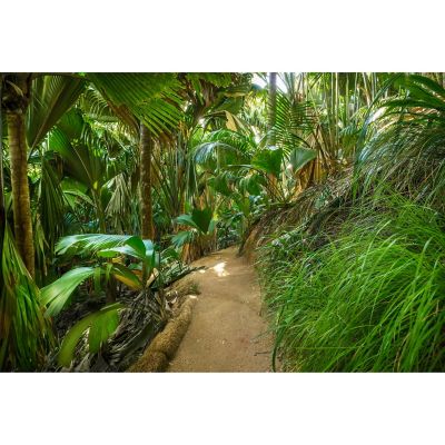 Poster intissÃ© GoodHome jungle tropicale 248 x 368 cm