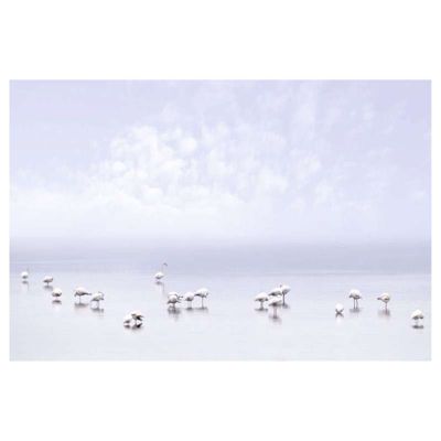 Poster intissé LAGUNE 60 x 40 cm - Décoration intérieure HD
