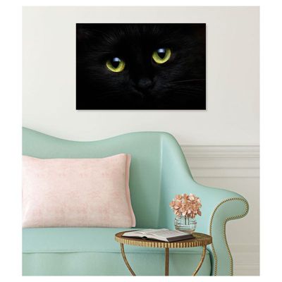 Peluche chat marron avec yeux bleus brillants, décoration intérieure et