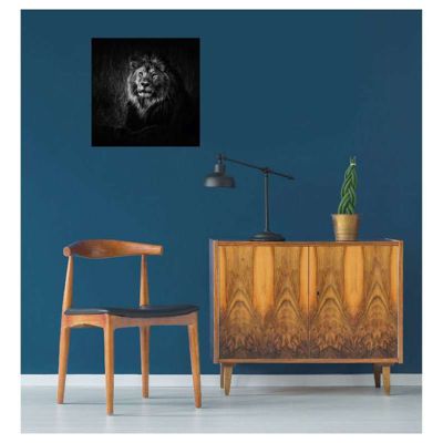 Poster intissé LION NOIR ET BLANC 50 x 50 cm - Décoration intérieure HD