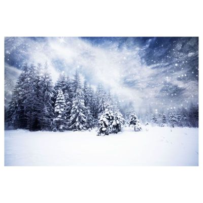 Poster intissé SOUS LA NEIGE 60 x 40 cm - Décoration intérieure HD
