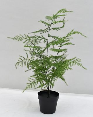Pot Aspargus artificiel h.45 cm avec pot décoratif
